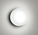 ★OG254982NRエクステリア LEDポーチライト R15高演色 クラス2 白熱灯器具60W相当昼白色 非調光 防雨・防湿型オーデリック 照明器具 玄関 屋外用 壁面・天井面・傾斜面取付兼用