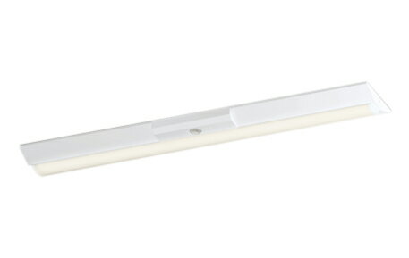 Other - XR506005R2ELEDベースライト LED-LINE 非常用照明器具(階段通路誘導灯兼用型) R15高演色 クラス2直付型 逆富士型(幅230) 40形 4000lmタイプ FLR40W×2灯相当非調光 電球色3000Kオーデリック 照明器具 水平天井取付専用