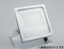 TS-811-40-57-BOp Floodlight40W^Cv CDM-TP70WTS-810-50V[Y FFF {̐FFeXECeBO {ݏƖ