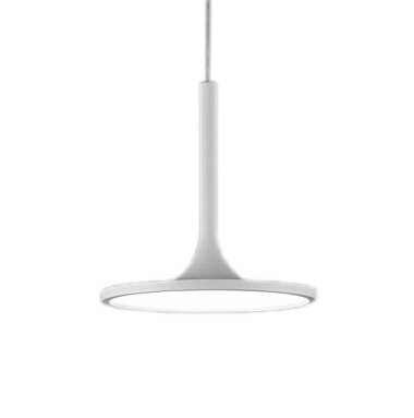 ERP7463WALEDペンダントライト 電源内�