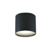 AU54782エクステリア 軒下用LEDシーリ�