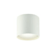 AU54784エクステリア 軒下用LEDシーリングライトランプタイプ 重耐塩仕様 密閉式白熱球100W相当 非調光 昼白色コイズミ照明 照明器具