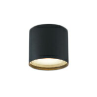 AU54787エクステリア 軒下用LEDシーリングライトランプタイプ 重耐塩仕様 密閉式白熱球60W相当 非調光 ..