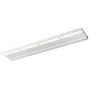 EBL20212AD/DSAN9LED投光器 レディオック カトラス type-L ダウンタイプ L1200mm 昼光色屋外用 電源ユニット内蔵形 下向き専用岩...