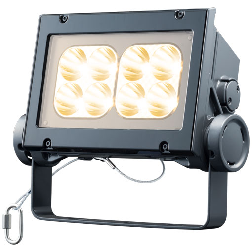 ECF6040N/NHSAN8/DGLED投光器 レディオック フラッド ネオ 60クラス 狭角タイプ ナトリウム色屋外・屋内用 電源ユニット内蔵形 耐塩仕様岩崎電気 施設照明