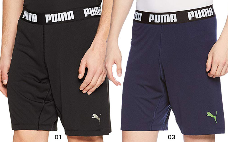 ☆プーマPUMA サッカー プラクティスパンツ FTBLNXTEVOKNIT ショーツ 655568