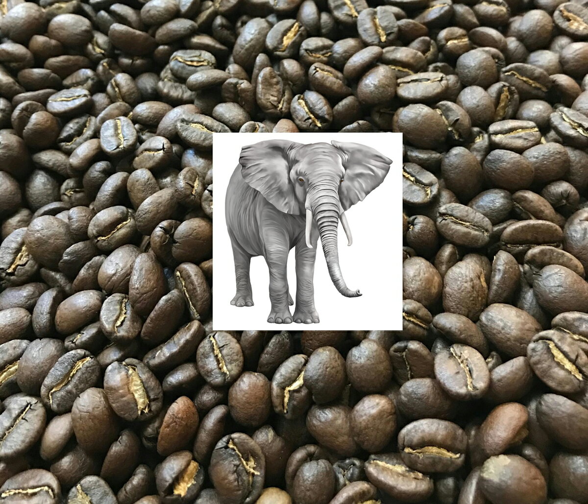 【送料無料(カード・振り込み決済限定)】◆ブラックアイボリーのチェンライ版◆☆タイチェンライ・象のコーヒー1kg(1000g)