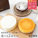 ベイクドチーズケーキ 母の日 早割 100円OFFクーポン 「 選べる 2個セット 椿屋珈琲 ケーキ 」 ベイクドチーズケーキ レアチーズケーキ ガトーショコラ チーズケーキ 送料無料 お取り寄せ スイーツ お菓子 洋菓子 食品 母の日 ギフト プレゼント コーヒー 母の日プレゼント 60代 70代 80代 実用的