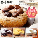 ＼ 母の日 早割 100円OFF ／ 「 椿屋珈琲 渋皮モンブランと選べるケーキの2個セット」大人気 送料無料 贈り物 自宅用にも チーズケーキ 送料無料 誕生日 高級 ギフト 食べ物 実用的 お取り寄せ 贈り物 お祝い プレゼント 2023 お試し ギフト プレゼント コーヒー 花以外 その1