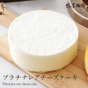 母の日 「 椿屋珈琲店 の レアチーズケーキ 」プラチナレアチーズケーキ チーズ ケーキ 送料無料 お取り寄せ スイーツ お菓子 贈り物 お祝い 2024 母の日 ギフト プレゼント 食品 コーヒー お菓子 スイーツ 母の日プレゼント 60代 70代 80代 実用的 義母 花以外