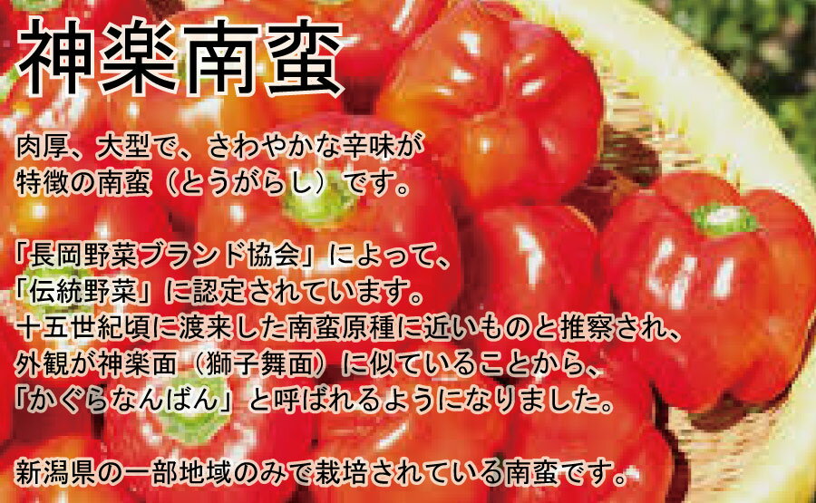 [ 送料無料 ] 男 の燕 餃子 ( 神楽南蛮 旨辛 ) 20個箱入 タレなしで 美味しい 新潟の 餃子専門店 つばめ 餃子 みそ味 ご当地餃子 焼き餃子 水餃子 ぎょうざ 黒豚使用 長期保存 ギフト 父の日 御歳暮 2