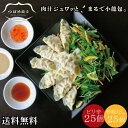 [ ギフト ][ 送料無料 ] つばめ 餃子 2