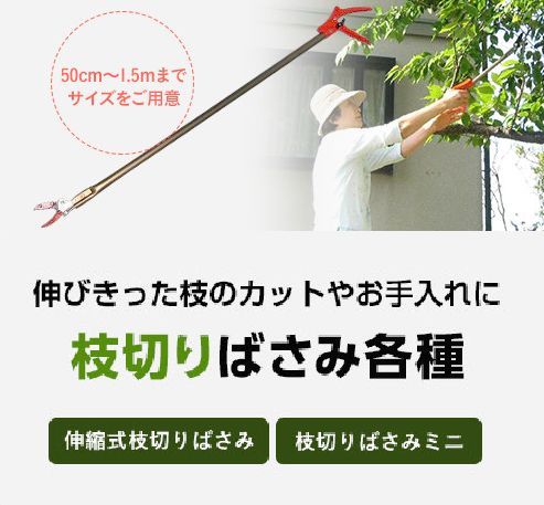 枝切りばさみ：全長50cm,重さ僅か330g 高枝切りバサミ 木の枝を切る 道具 枝きりばさみ えだきりばさみ 枝切りバサミ 枝切ばさみ 枝切り鋏 庭木 剪定 道具 剪定鋏 剪定はさみ 剪定ばさみ 剪定バサミ 庭の木 木の枝 手入れ 剪定道具 丈夫 サビに強い