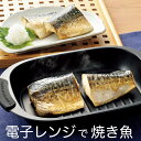 ヒロショウ レンジグリルパン RGPS-01 (電子レンジ専用・焼く・炒める・煮る・茹でる・蒸す・炊く・温め直し・焼き魚・時短・HIROSHO)