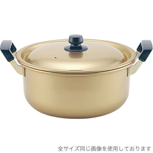 遠藤商事 TKG 本しゅう酸 美菜食 両手鍋32cm AAZ-0132 （ガス火専用・蓚酸・業務用・厨房用品）