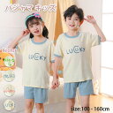 【期間限定!2780円→1880円】子供用 パジャマ キッズ 部屋着 かわいい 子供のパジャマ 半袖 綿 男の子と女の子 大きな 家庭服 春服 夏かわいい 軽くて薄い 通気性 日焼け防止 肌触りの良い生地で快適に お子様の肌にも優しいパジャマ ルームウェア 上下セット 2点セット