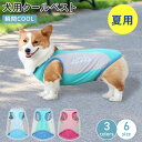 クール服 犬の夏服 洗える お散歩 水冷 犬用 口コミ おすすめ 服 人気 濡らす 犬服 クール 犬の服 クール クール素材 夏バテ 犬の夏対策 暑さ対策 外 家 お出かけ おでかけ 室内 留守番 夏場対策グッズ 旅行 夏の散歩 夏の服