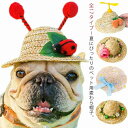 ペット用 帽子 麦わら帽子 猫 犬 ハット カンカン帽 春夏 犬用 猫用 UVカット 帽子 紫外線対策 日よけ 日除け ワンちゃん帽子 被り物 熱中症対策 夏バ...