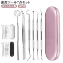 6点セット 口腔ケア器具 歯石取り ケース付き 自宅用 歯垢 スケーラー 口腔清潔 ヤニとり ステンレス製 先極細 歯石除去 プロ仕様 歯石とり 虫歯 デンタル...