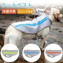 【送料無料】大型犬用 お出かけ お散歩 アウトドア 簡単着脱 Dリング付き メッシュ 通気性 熱中症対策 夏 冷感ベスト 大型犬 ひんやりベスト