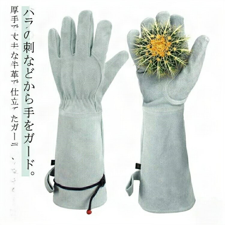 Х ǥ˥󥰥 Ѽ ǥ˥󥰥 Ĺµ  ȥ Ȥɻ ǥ 鯥 Х Х饰 Х  ...