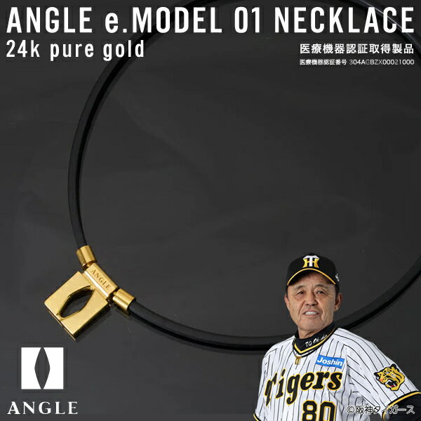 ¨ȯġANGLEʥ󥰥 AE01N ͥå쥹 ANGLE e.MODEL 01 NECKLACE 󥰥 e.ǥ ...