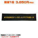 刺繍加工 ミズノ ヘルメットケース 1FJC359009 専用 卒団記念 卒業記念 刺しゅう 野球