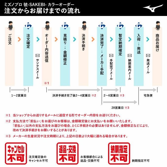 ＜受注生産＞ミズノ（MIZUNO） 1DJPH95000 硬式キャッチャー用プロテクター カラー...