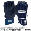 【あす楽対応】フランクリン（Franklin） 20683 バッティング手袋 両手用 CFX PRT PROTECTIVE BATTING GLOVES 保護パッド付き バッティンググローブ 手甲ガード リストガード 野球用品