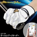 <受注生産>ミズノ(MIZUNO) ミズノプロ・モーションアークオーダー 両手用 バッティング手袋オーダー 1EJEA75000 1EJEA76000 MizunoPro MP バッティンググローブ 野球