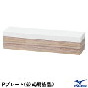 ミズノ(MIZUNO) 16JAP15300 Pプレート 公式規格品 木製台付き 野球 2025SS