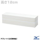 ミズノ（MIZUNO） 16JAP14700 Pプレート 高さ12cm 公式規格品 プロ仕様 両面使用可 10%OFF 野球用品 2023SS