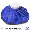 ミズノ(MIZUNO) 1GJYA32700 アイシングバッグ サイズL 直径約28cm 野球 2025SS