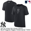 yyΉziCLiNIKEj TVc `[S  j[[NEL[X Dri-FIT MLB Pregame Raglan Performance T-Shirt New York Yankees Nike Authentic Collection 013B-4FA-NK-WYF 싅 2024SS