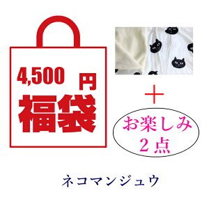 送料無料定形外郵便(特定記録)ネコマンジュウの福袋ひざ掛けお楽しみねこ猫ネコオフィス自宅車内お昼寝こども子どもプレゼントギフトCATcat猫グッズ雑貨可愛いかわいい