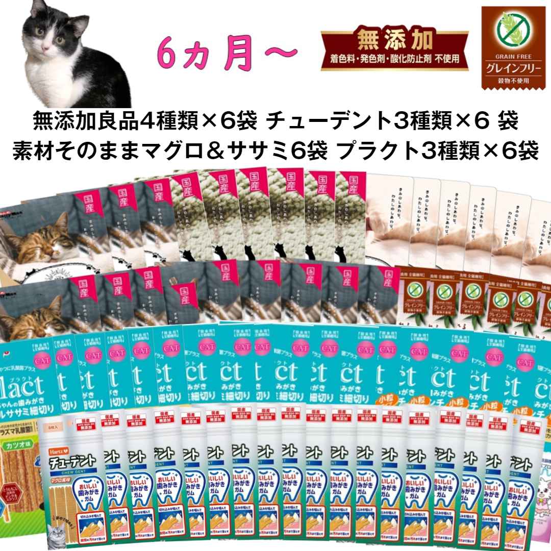 子猫 福袋 成猫 おやつ デンタルケア 11種類×6袋 セット サーモン ミルク お魚 キューブ マグロ ＆ササミ キャットフード 詰め合わせ チューデント プラクト 無添加良品 グレインフリー おやつ ウェット 猫 子ねこ