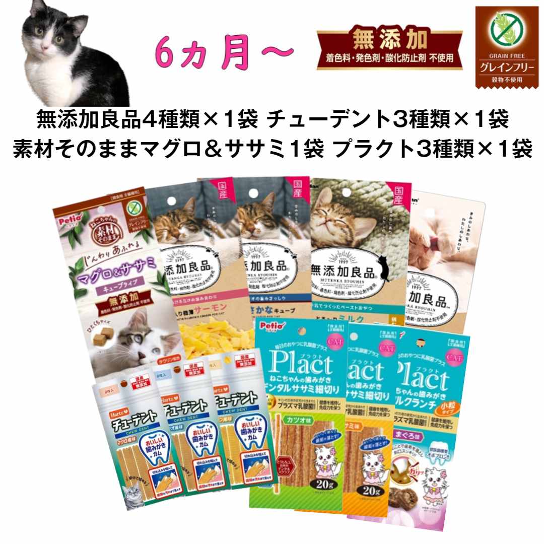 子猫 福袋 成猫 おやつ デンタルケア 11種類×1袋 セット サーモン ミルク お魚 キューブ マグロ ＆ササミ キャットフード 詰め合わせ チューデント プラクト 無添加良品 グレインフリー おやつ ウェット 猫 子ねこ