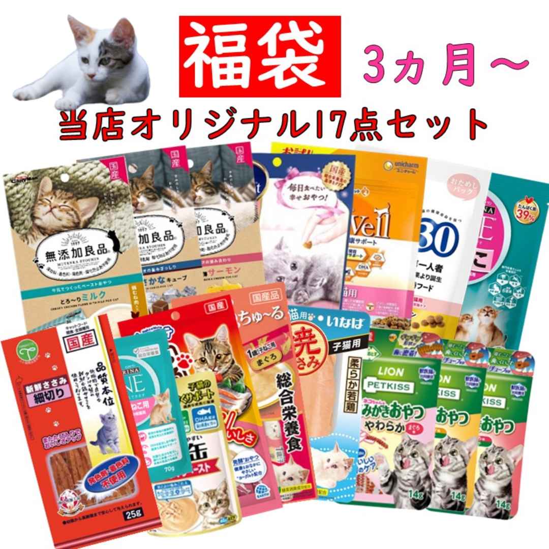 猫 福袋 17点 セット 子猫 フード 多頭飼い キャットフード 詰め合わせ 無添加良品 ドライフード チュール おやつ ウェット 猫 かりかり デンタルケア 子ねこ ちゃおちゅーる チャオチュール 総合栄養食 まぐろ 焼きささみ