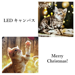 送料無料定形外郵便(特定記録)LEDキャンバスXmasキャット壁掛け式ネコねこ猫インテリア光るアートプレゼントギフト小物CATcat猫グッズ雑貨可愛いかわいいおしゃれ