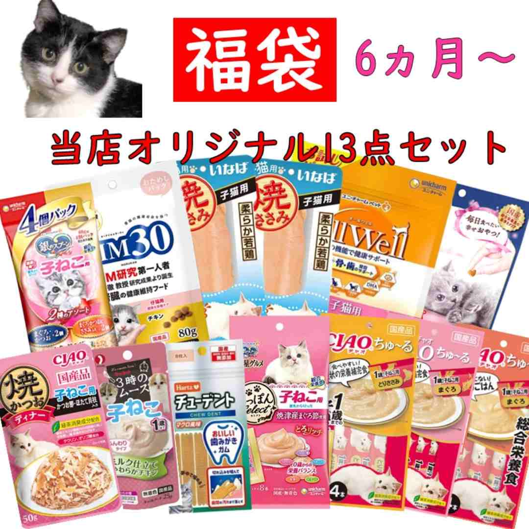 猫 福袋 キャットフード 子猫 大量 お得 フー...の商品画像