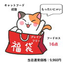キャットフード 訳あり アウトレット フードロス グレインフリー 猫 フード お試し ドライ カリカリ ウェットフード 16個 セット キャットフード