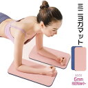 ミニヨガマット 2個セット ヨガ ミニマット ヨガ 膝の保護 ひじの保護 ダイエット トレーニング エクササイズ 器具 ヨガ ダイエット(4)