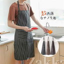 エプロン ワークエプロン レディース メンズ ストライプ 撥水加工 ボーター柄 前掛け 保育士 園芸 仕事 家事 カフェ 料理教室 男女兼用 おしゃれ