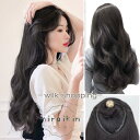 ハーフウィッグ パーマ ストレート エクステ つけ毛 襟足 部分 かつら wig アクセ かつら ウイッグ 安い おしゃれ 仮装大会