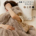 ブランケット 秋冬 大判 厚手 フェイクファー ひざ掛け 膝掛け ふわふわ 暖かい 二枚合わせ 北欧 おしゃれ ふんわり 高級感 インテリア 雑貨 装飾毛布 多機能