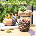 植木鉢 リス りす 母の日 ガーデニングオブジェ 鉢植え フラワープランター 多肉植物 サボテン ミニ プランター おしゃれ 可愛い