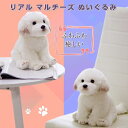 ぬいぐるみ 犬 マルチーズ イヌ おもちゃ 抱き枕 クリスマス お誕生日 記念日 プレゼント 高さ26cm