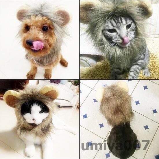 ペット用品ペットかつら/帽子/小型犬 猫 小動物 たてがみ/変身 可愛い 着ぐるみ/ペット 着せ替え コス..