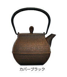 楽天南部鉄器・生活・台所用品ツブヨリ【送料無料】壱鋳堂 南部鉄器 急須 壱鋳堂・ティーポット石庭 Sekitei 工芸品 国産 日本製 伝統工芸 鉄製 ホーロー 手入れがラク 和食器 プレゼント 贈り物 贈物 かわいい おしゃれ