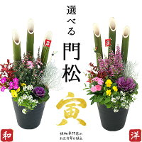 2個セット(1対) 選べる門松『 お正月寄せ植え 』（正月飾り 玄関などに） 門松アレンジ寄せ植え 7号鉢植え 高さ約70cm